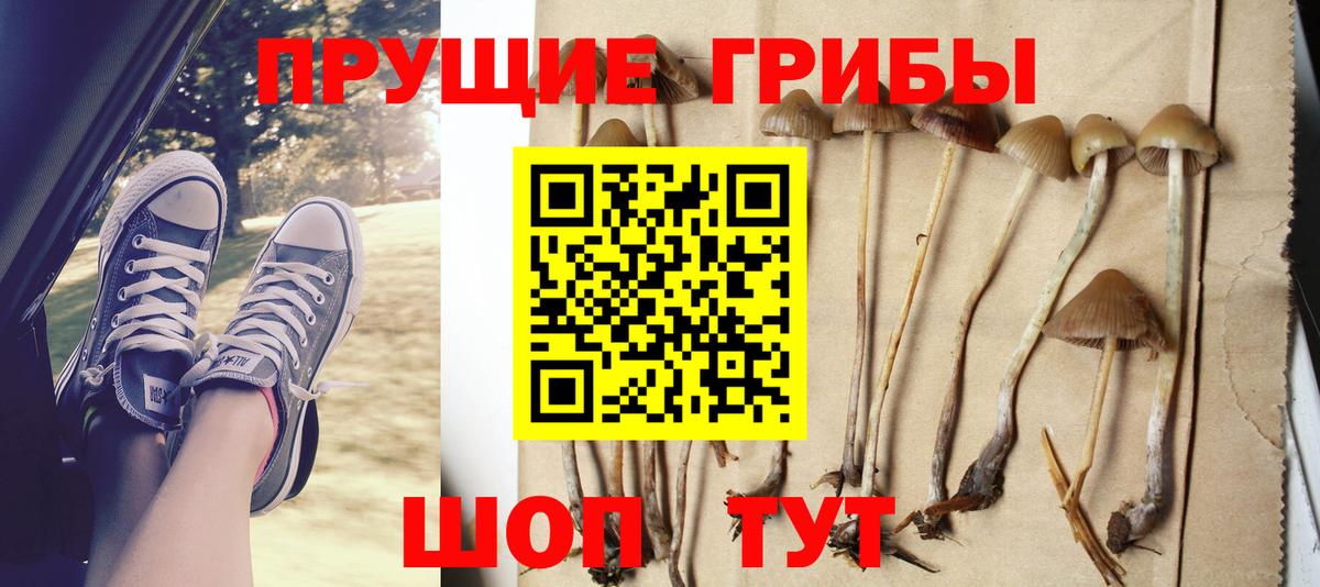 Псилоцибиновые грибы Magic Shrooms  Вход с VPN  купить наркотик  Севастополь 